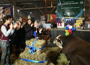 Touro Diamante faz aniversário na Expointer 