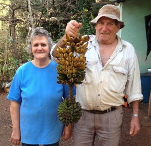 Casal de produtores com o cacho duplo de banana 