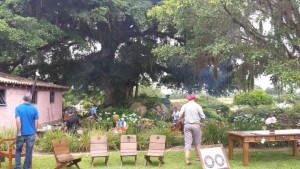 figueira-da-estancia