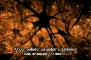 cerebro hh