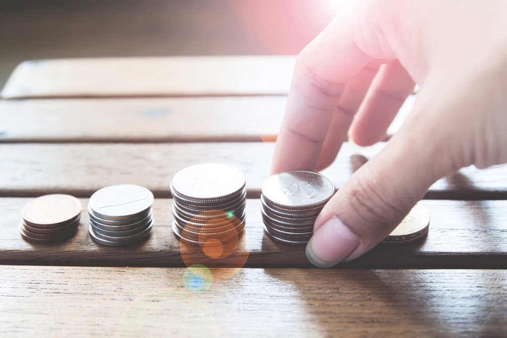 O entendimento de economia demanda uma longa jornada