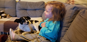 ledinha e o cão
