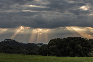 _foto de Romar Rigon