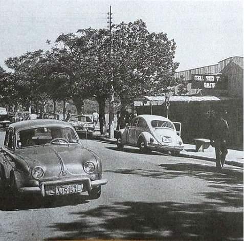 facebook_1606257858350_6737133760311874497