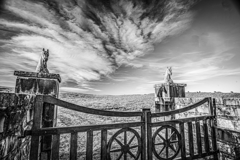 LIVRO-O-RIO-GRANDE-DE-ERICO-VERISSIMO_imagem-2_foto-de-Leonid-Streliaev