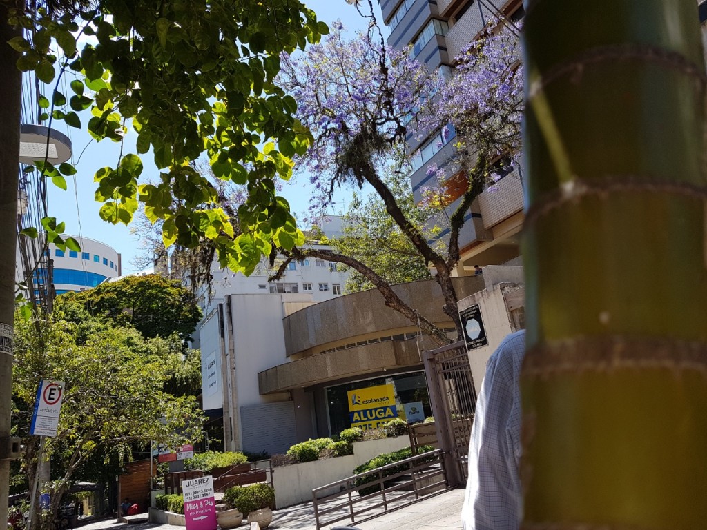 cafeteria na padre chagas