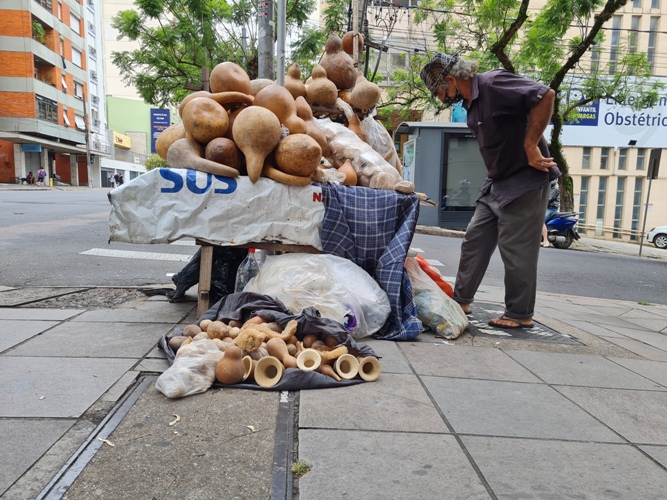 Os porongos estão à venda foto de Fernando Albrecht