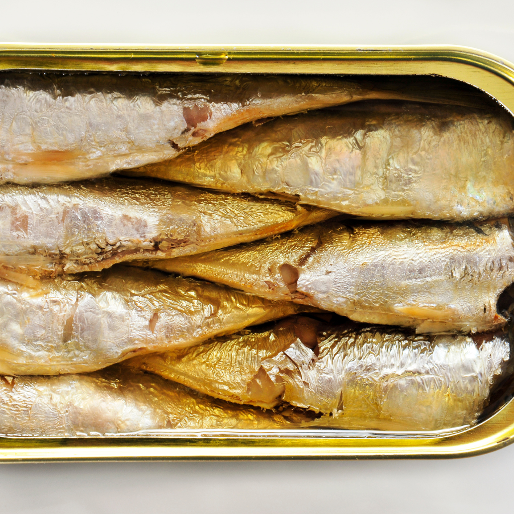 sardinha em lata é rica me ômega 3