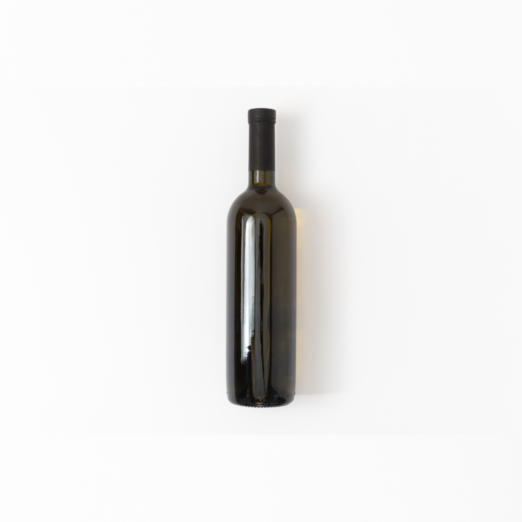 o projeto da garrafa vazia