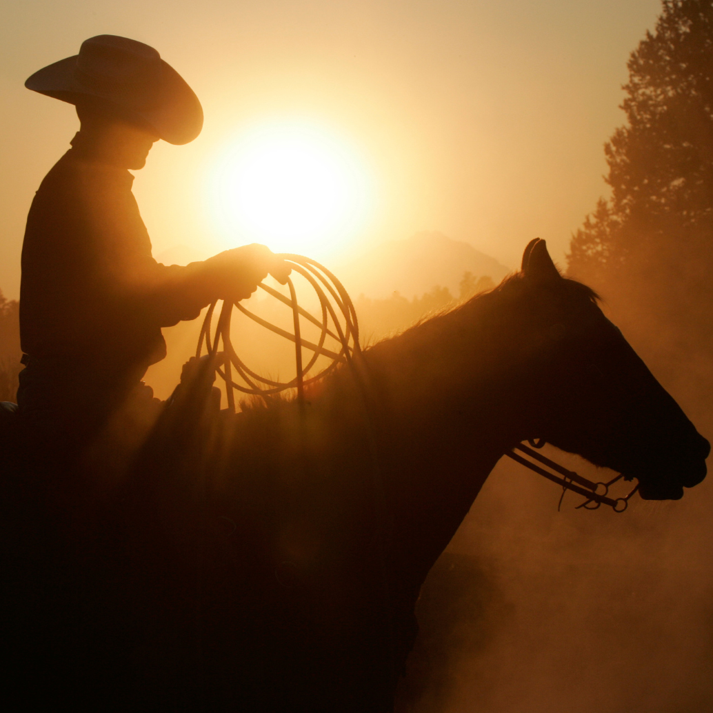 segura, peão boiadeiro