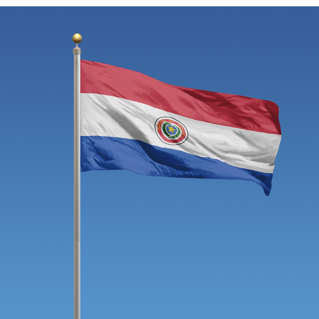 bandeira do paraguai tremula ao vento