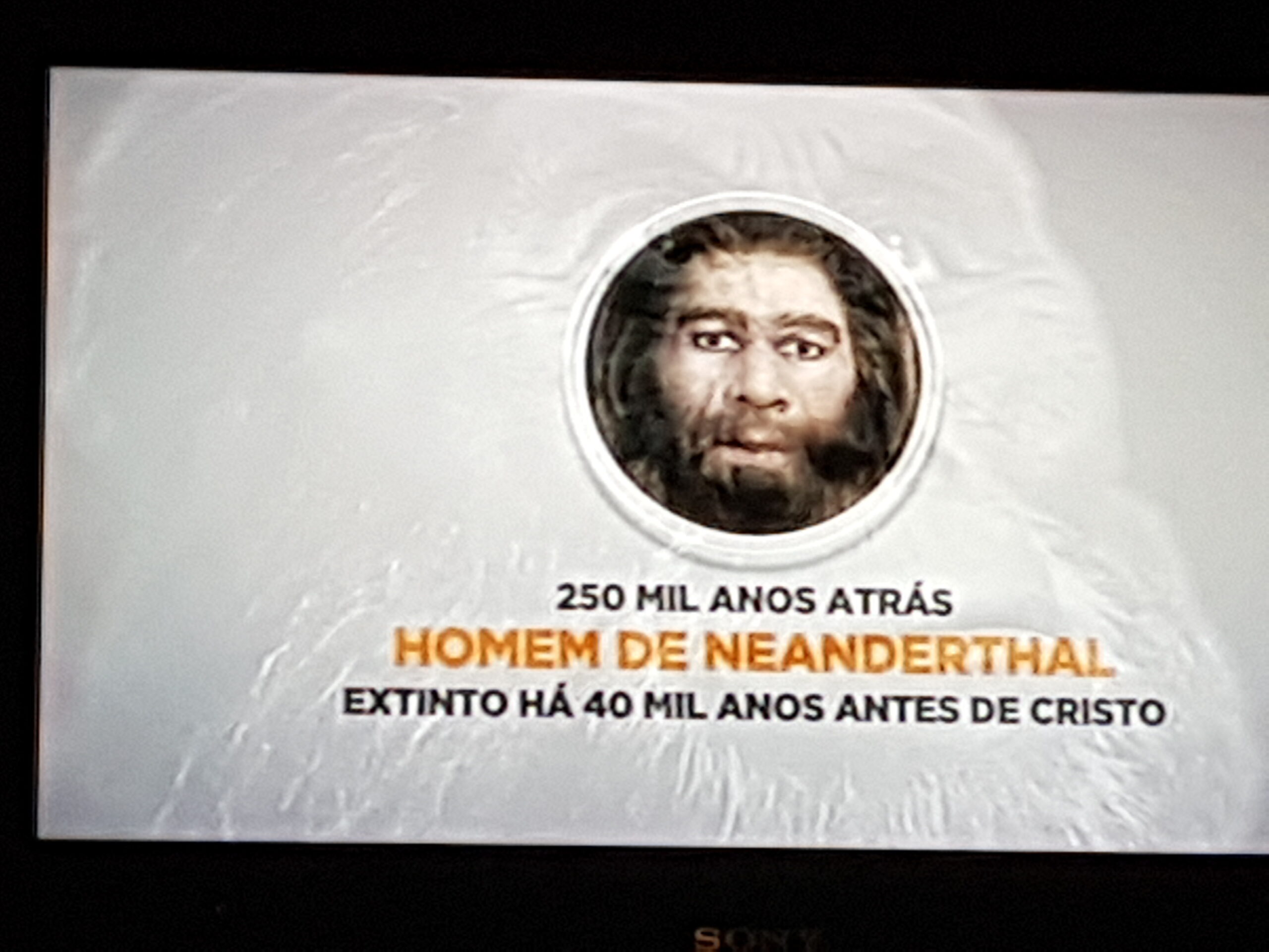 o enigma dos neandertais